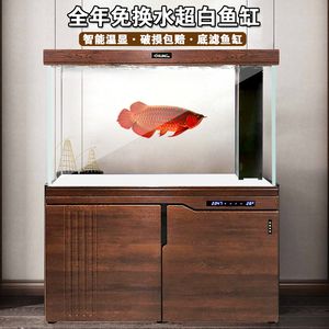 白底白背景魚缸好嗎：白底白背景的魚缸背景對(duì)魚的生長(zhǎng)和健康有一定的影響 魚缸百科 第3張