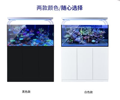 超白魚缸金晶玻璃：金晶超白玻璃魚缸