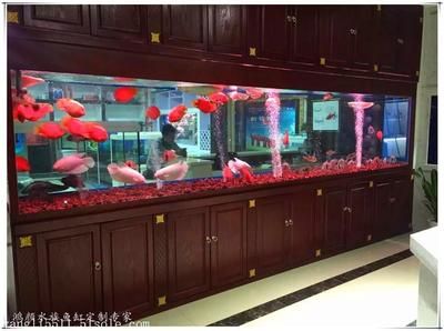 超大魚缸定制廠家：義烏超大魚缸定制廠家愛瑚水族魚缸定制廠家優(yōu)勢特點 魚缸百科 第1張