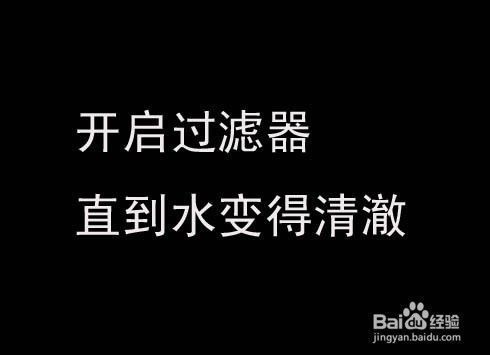 玻璃魚缸怎么清理：如何清理玻璃魚缸 魚缸百科 第3張