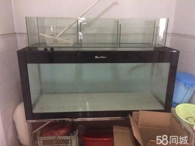 180寬60魚缸裝多少水：魚缸凈容量可以裝大約48.06升的水，實(shí)際可能會有所不同 魚缸百科 第2張