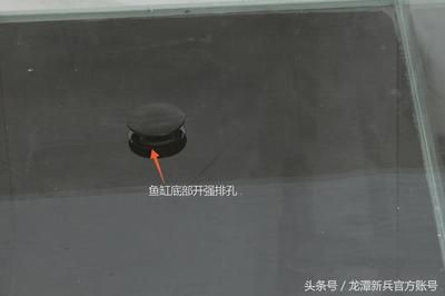 玻璃魚缸爆缸的可能信號(hào)大嗎？：如何預(yù)防魚缸爆缸 魚缸百科 第3張