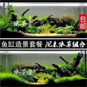 不種水草魚缸怎樣造景：不種水草的魚缸怎么造景？ 魚缸百科 第1張