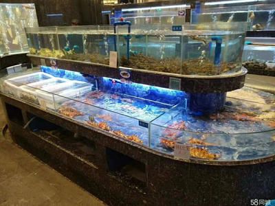 超市水產(chǎn)魚缸規(guī)范：2023年超市業(yè)態(tài)水產(chǎn)魚缸采購招標(biāo) 魚缸百科 第3張