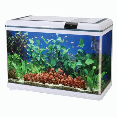 博宇魚缸型號(hào) EAF1000p使用方法：博宇魚缸型號(hào)eaf1000p使用方法 魚缸百科 第4張