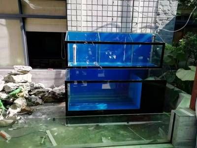 大洋水族魚缸安裝：大洋水族魚缸安裝步驟和注意事項(xiàng)