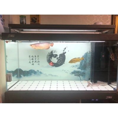 瓷磚制作魚缸設計圖：瓷磚魚缸的制作過程中需要注意以下幾點以下幾點 魚缸百科 第3張