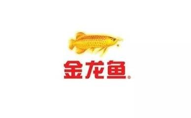 世界級(jí)金龍魚：金龍魚出征第九屆中國(guó)烹飪世界大賽金龍魚品牌金龍魚 龍魚百科 第2張