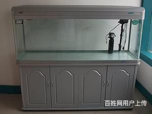 搬家魚缸怎么處理：搬家魚缸的處理方式 魚缸百科 第2張