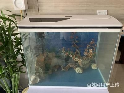 搬家魚缸怎么處理：搬家魚缸的處理方式 魚缸百科 第1張