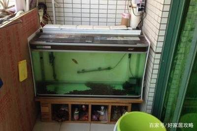 大型定做魚缸如何降溫：大型定做魚缸如何降溫？ 魚缸百科 第3張