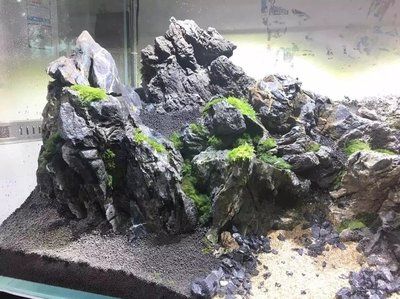 純石頭造景魚缸：如何選擇適合的山石做魚缸造景？ 魚缸百科 第4張