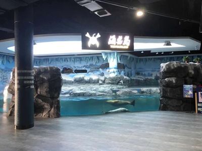 成安縣魚缸廠：成安縣多個(gè)魚缸廠和水族箱廠 魚缸百科 第1張