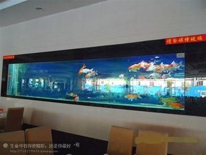 玻璃魚缸批發(fā)：玻璃魚缸批發(fā)貨源推薦 魚缸百科 第4張