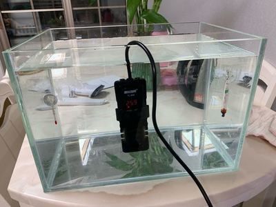 玻璃店做一個魚缸怎么算錢：玻璃店制作魚缸的費用