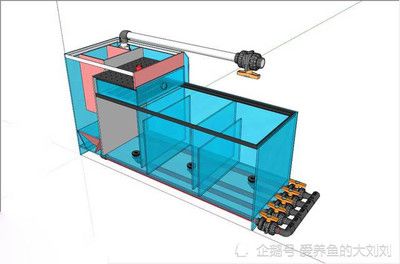成品魚缸過濾系統(tǒng)結(jié)構(gòu)圖：底濾魚缸工作原理 魚缸百科 第1張