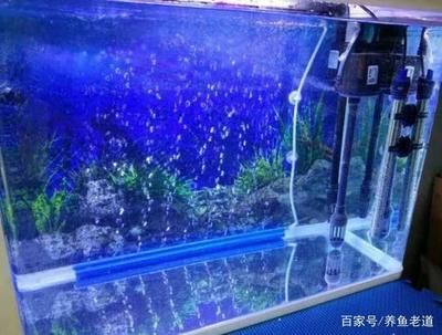 玻璃魚(yú)缸會(huì)自己爆裂嗎為什么：如何預(yù)防玻璃魚(yú)缸爆裂 魚(yú)缸百科 第1張