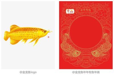 分析金龍魚品牌的內(nèi)涵：金龍魚品牌不僅是一個(gè)普通的食用油品牌，其品牌內(nèi)涵分析 龍魚百科 第2張