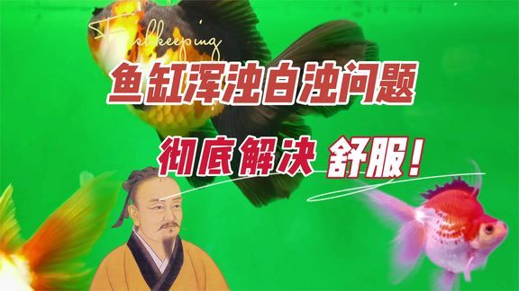 百勝魚缸質(zhì)量怎么樣啊好用嗎：百勝魚缸的質(zhì)量和實(shí)用性如何？ 魚缸百科 第2張