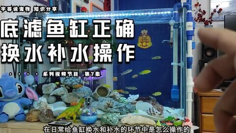 大魚缸漏水怎么補水視頻：大魚缸漏水怎么補水怎么補水？ 魚缸百科 第1張