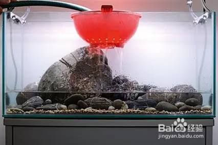 大魚缸怎么消毒開缸：大魚缸消毒開缸方法 魚缸百科 第2張