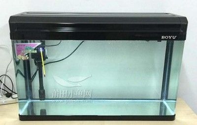 白水晶魚(yú)缸煙火：煙火魚(yú)缸品牌介紹白水晶碎石裝飾用途白水晶裝飾用途 魚(yú)缸百科 第1張