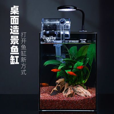 斗魚缸造景好還是不造景好：斗魚缸造景和不造景各有利弊， 魚缸百科 第1張