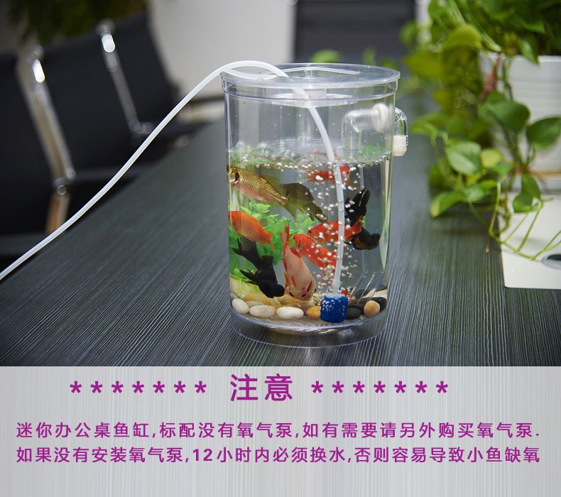 大型魚缸氧氣泵怎么安裝視頻 魚缸百科 第4張