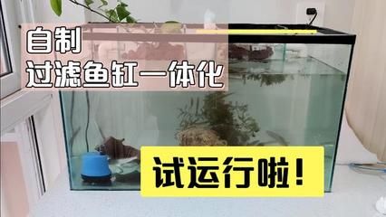 大魚缸制作方法視頻：大型魚缸制作方法 魚缸百科 第2張