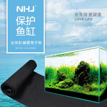 超白小魚缸墊用什么顏色好看：超白小魚缸墊使用什么顏色好看 魚缸百科 第2張