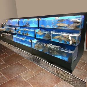 1.8米魚缸價格圖片大全 魚缸百科 第3張