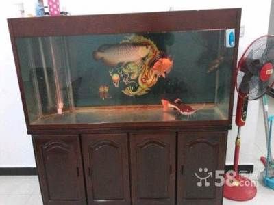 定做魚缸要多久：定做魚缸的時間因素而異