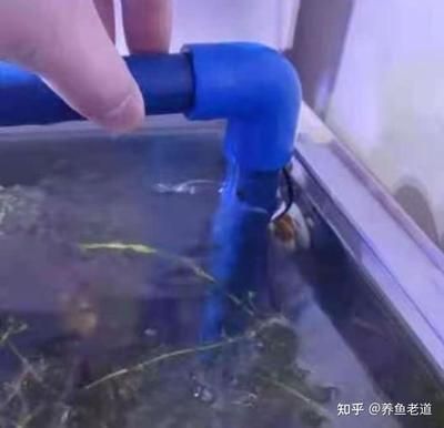 大型魚缸底濾遇停電怎么辦：大型魚缸底濾停電后的處理方案：大型魚缸底濾停電后的處理方法 魚缸百科 第3張