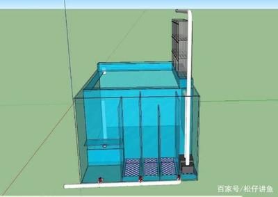 側(cè)濾魚缸改上濾：側(cè)濾魚缸改上濾的基本步驟和注意事項(xiàng) 魚缸百科 第3張