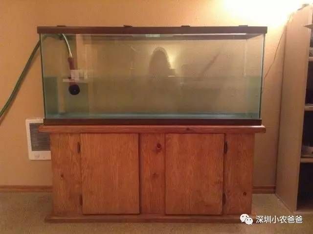 成品魚缸改造升級方案：成品魚缸改造升級之過濾升級 魚缸百科 第2張