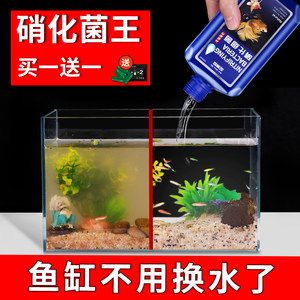 魚缸養(yǎng)魚常見病與用藥有關(guān)嗎：魚缸養(yǎng)魚常見病與用藥有關(guān)嗎魚缸養(yǎng)魚常見病與用藥有關(guān)嗎 魚缸百科 第1張