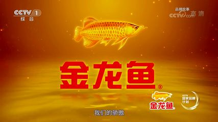 關(guān)于金龍魚的故事有哪些