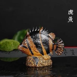 金龍魚會(huì)變色嗎是真的嗎：金龍魚會(huì)變色嗎 龍魚百科 第2張