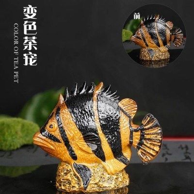 金龍魚會(huì)變色嗎是真的嗎：金龍魚會(huì)變色嗎 龍魚百科 第1張