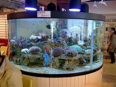 大型觀賞魚缸設(shè)計：大型觀賞魚缸的設(shè)計與制作