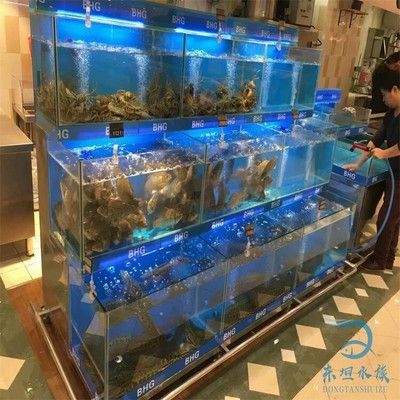 大型觀賞魚缸設(shè)計：大型觀賞魚缸的設(shè)計與制作