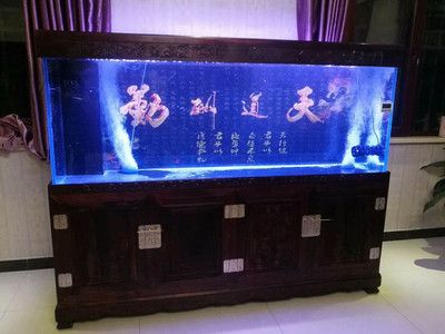 大城魚缸廠家：大城縣位吉天誠水族用品廠和匯祥水族生活館-高端魚缸設(shè)計(jì)定制中心