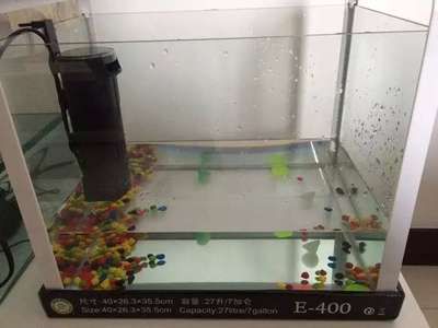 玻璃魚缸的水漬怎么去除：如何去除魚缸水漬？ 魚缸百科 第3張