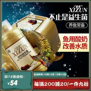 龍魚用酸奶的好處：酸奶對(duì)于龍魚的生長(zhǎng)和健康有著多方面的好處