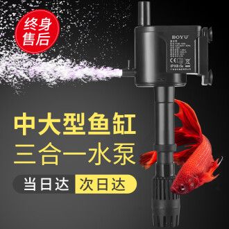 安裝魚缸過濾器：安裝魚缸過濾器的基本步驟及注意事項(xiàng) 魚缸百科 第4張