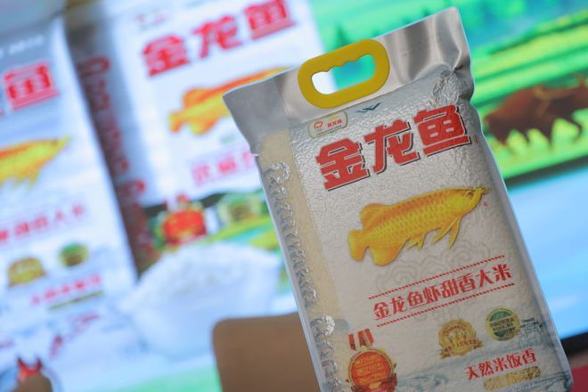 金龍魚(yú)吃顆粒飼料嗎