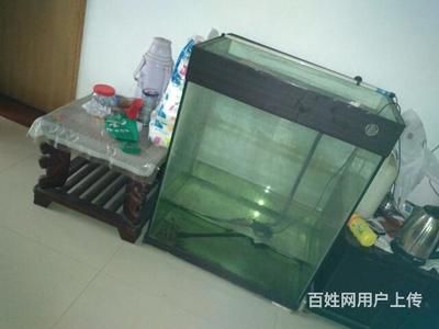 大型魚缸去哪里買便宜好用：大型魚缸選購指南 魚缸百科 第1張