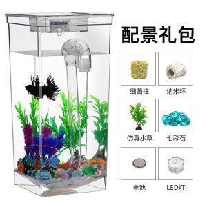 玻璃瓶魚缸多久換一次水 魚缸百科 第2張