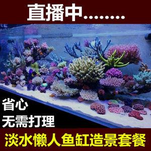 淡水哪里有賣魚缸的地方啊多少錢：水族箱植物的選擇與養(yǎng)護(hù) 魚缸百科 第2張