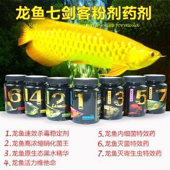 龍魚增色藥：如何幫助龍魚增加色彩